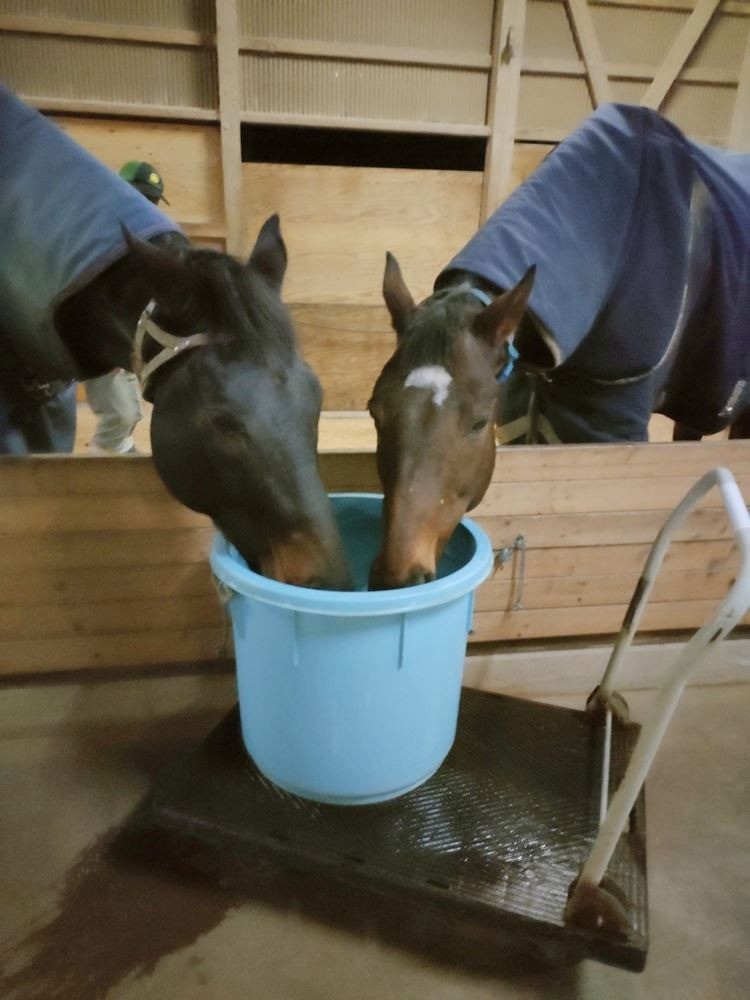 入れたてのお湯