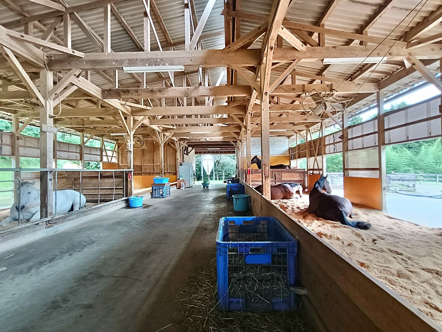 f8e10464afe2aca329c079603f4f8a2b-1761873628.jpg f8e10464afe2aca329c079603f4f8a2b-1761873628.jpg