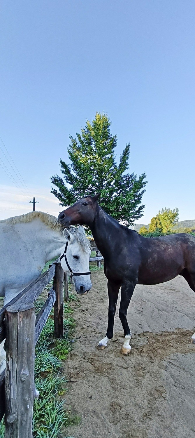 f8e10464afe2aca329c079603f4f8a2b-1761873690.jpg f8e10464afe2aca329c079603f4f8a2b-1761873690.jpg