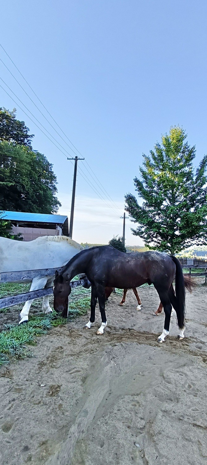 9c097d1219033238ca65794025e424b4-1761873696.jpg 9c097d1219033238ca65794025e424b4-1761873696.jpg