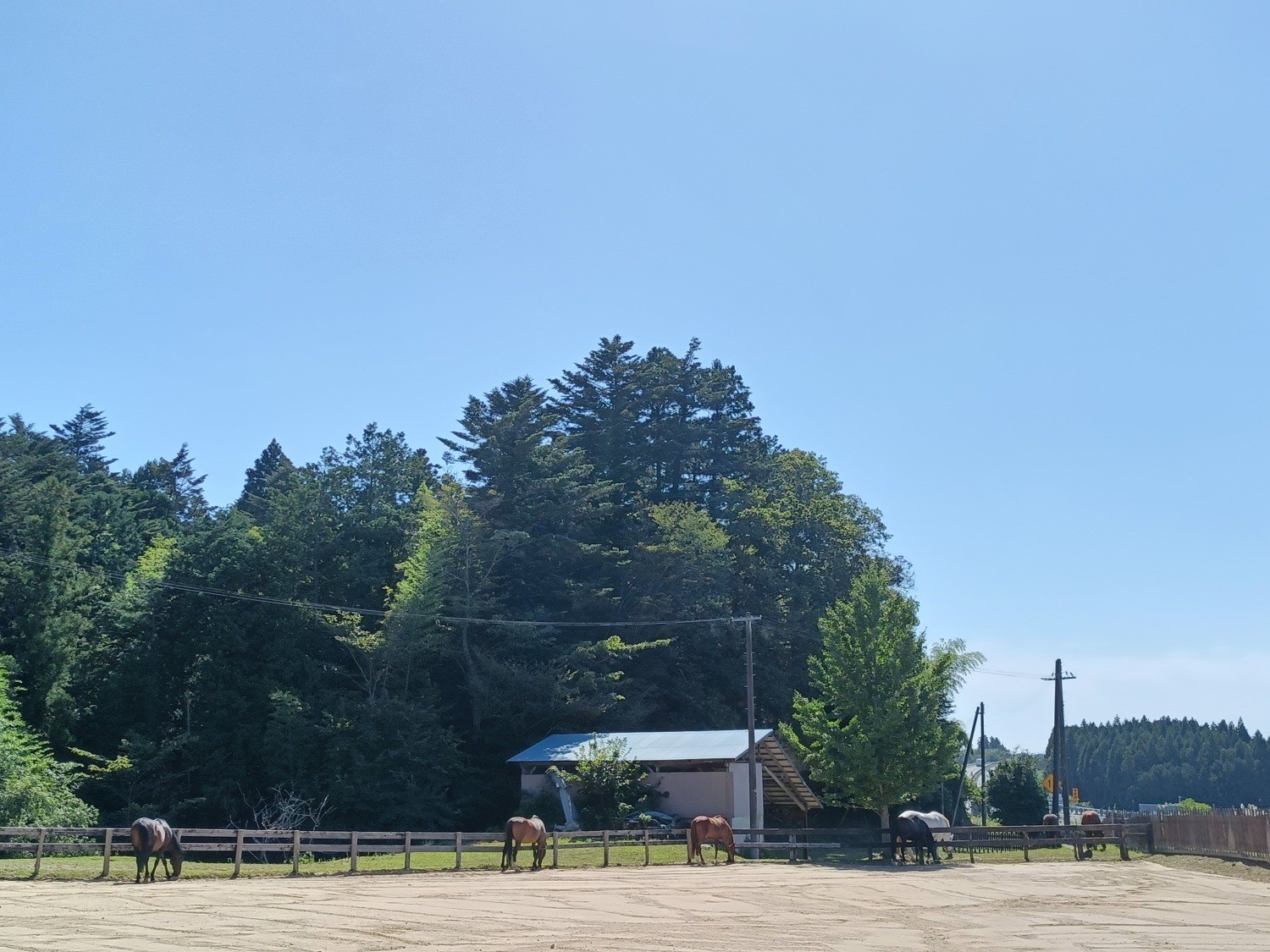 44aa706ea620718997e96900c79518f8-1761873640.jpg 44aa706ea620718997e96900c79518f8-1761873640.jpg