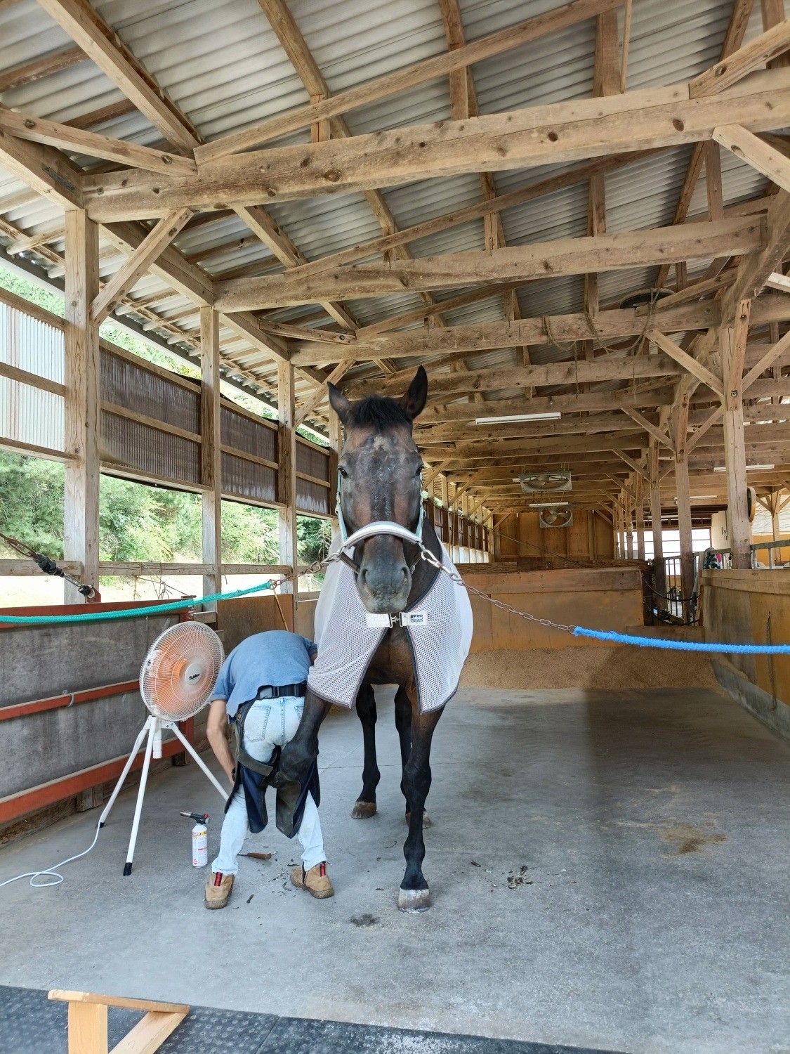 573a8fe5692983b04094cfe706e6263b-1761873646.jpg 573a8fe5692983b04094cfe706e6263b-1761873646.jpg