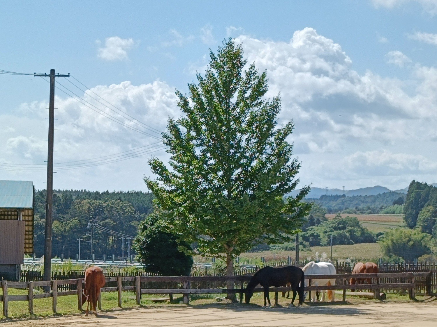 573a8fe5692983b04094cfe706e6263b-1761873708.jpg 573a8fe5692983b04094cfe706e6263b-1761873708.jpg