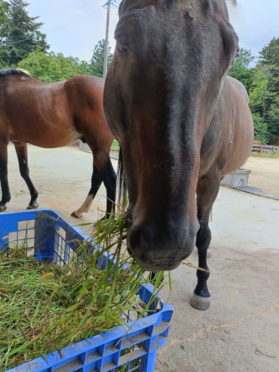 d89b0baea5b36583c02d895eb1966ce0-1761873651.jpg d89b0baea5b36583c02d895eb1966ce0-1761873651.jpg