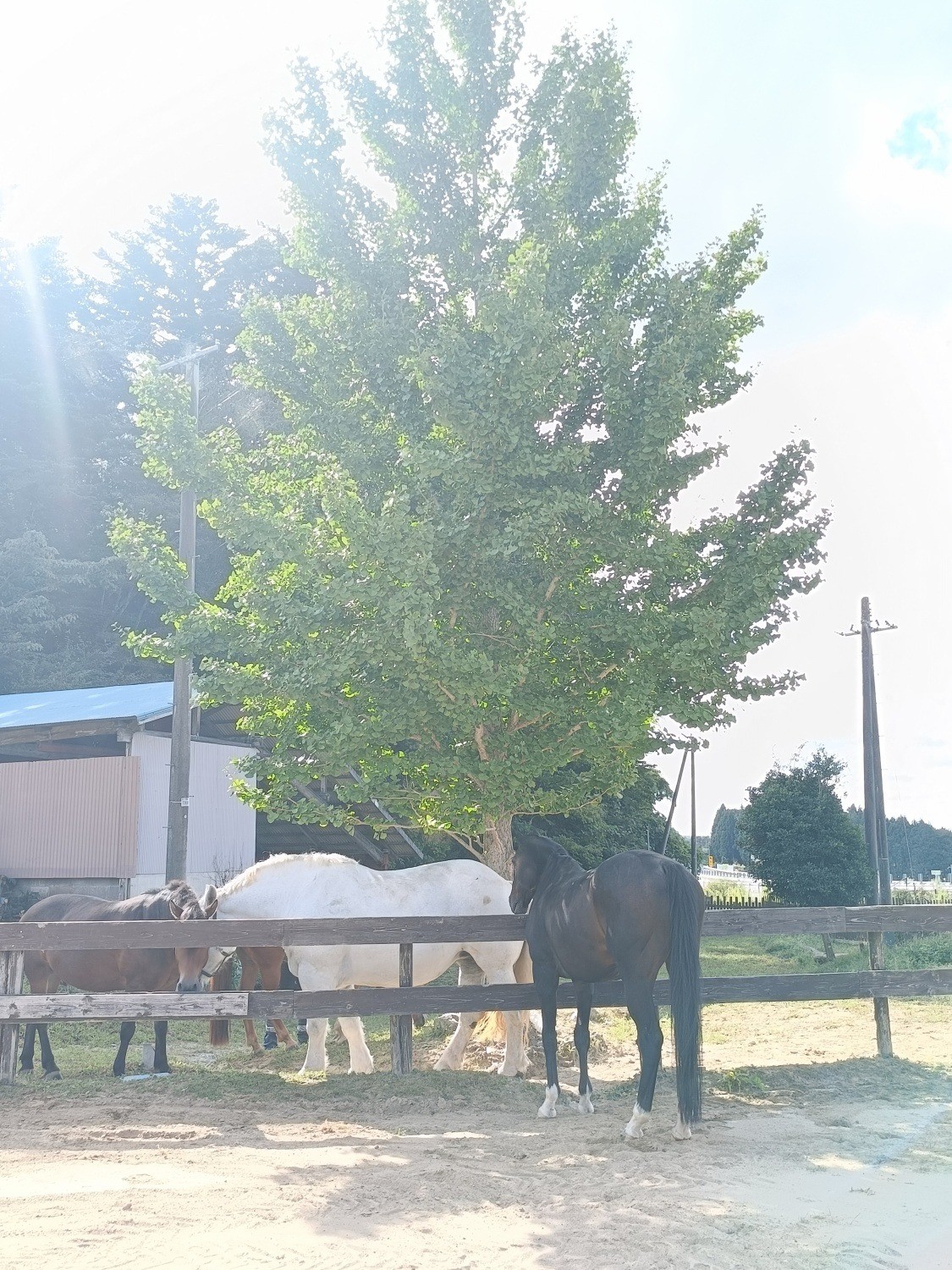 d89b0baea5b36583c02d895eb1966ce0-1761873713.jpg d89b0baea5b36583c02d895eb1966ce0-1761873713.jpg