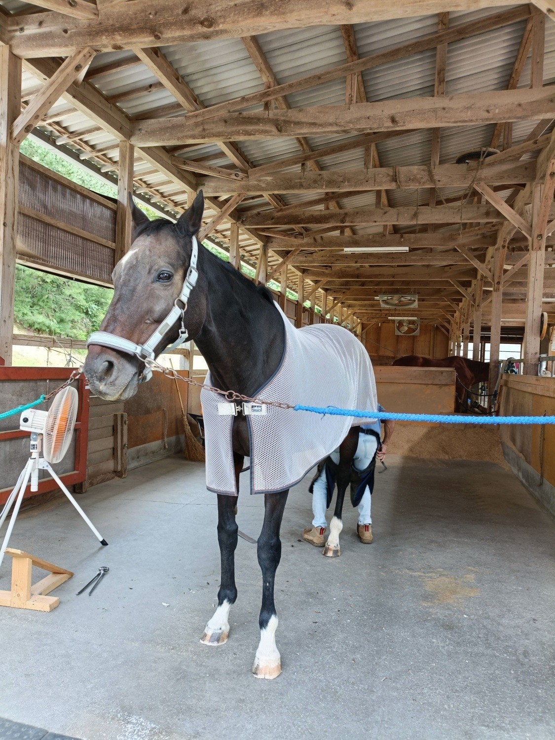 824ebe5c61e55a5a22a6e7e82d2abdac-1761873719.jpg 824ebe5c61e55a5a22a6e7e82d2abdac-1761873719.jpg