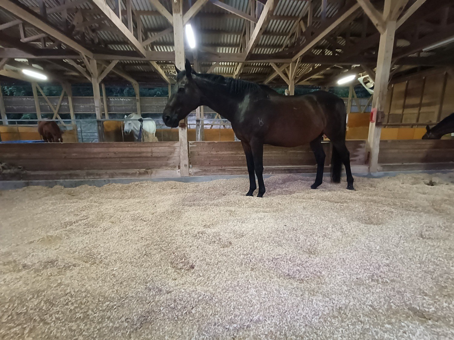 824ebe5c61e55a5a22a6e7e82d2abdac-1761873660.jpg 824ebe5c61e55a5a22a6e7e82d2abdac-1761873660.jpg