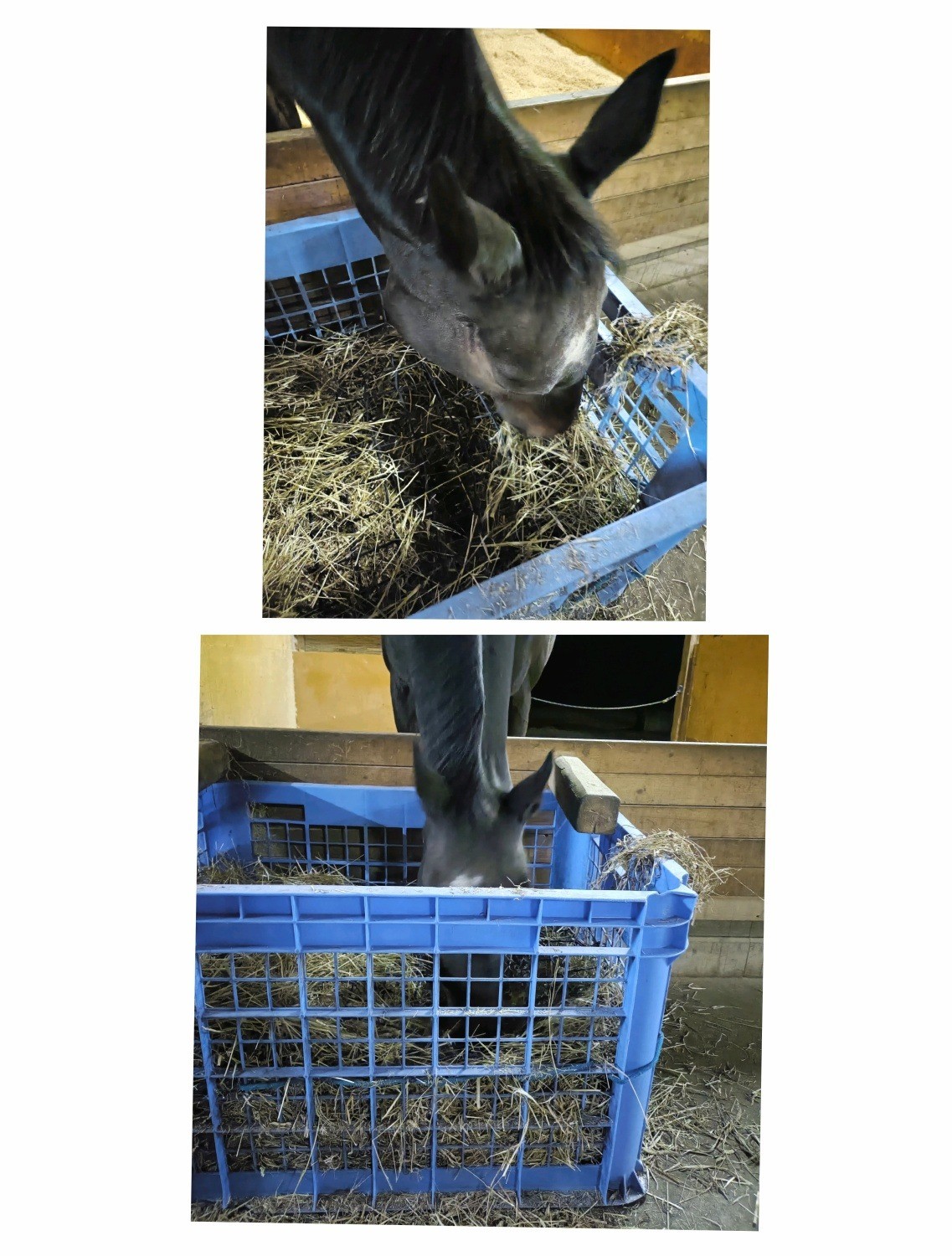 18efebb730e8910a68b48880ca5ed38e-1761873725.jpg 18efebb730e8910a68b48880ca5ed38e-1761873725.jpg