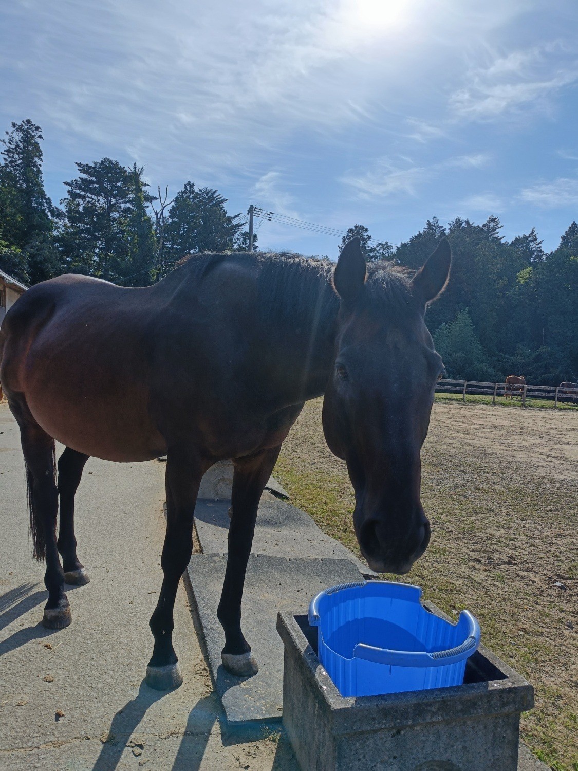 18efebb730e8910a68b48880ca5ed38e-1761873667.jpg 18efebb730e8910a68b48880ca5ed38e-1761873667.jpg