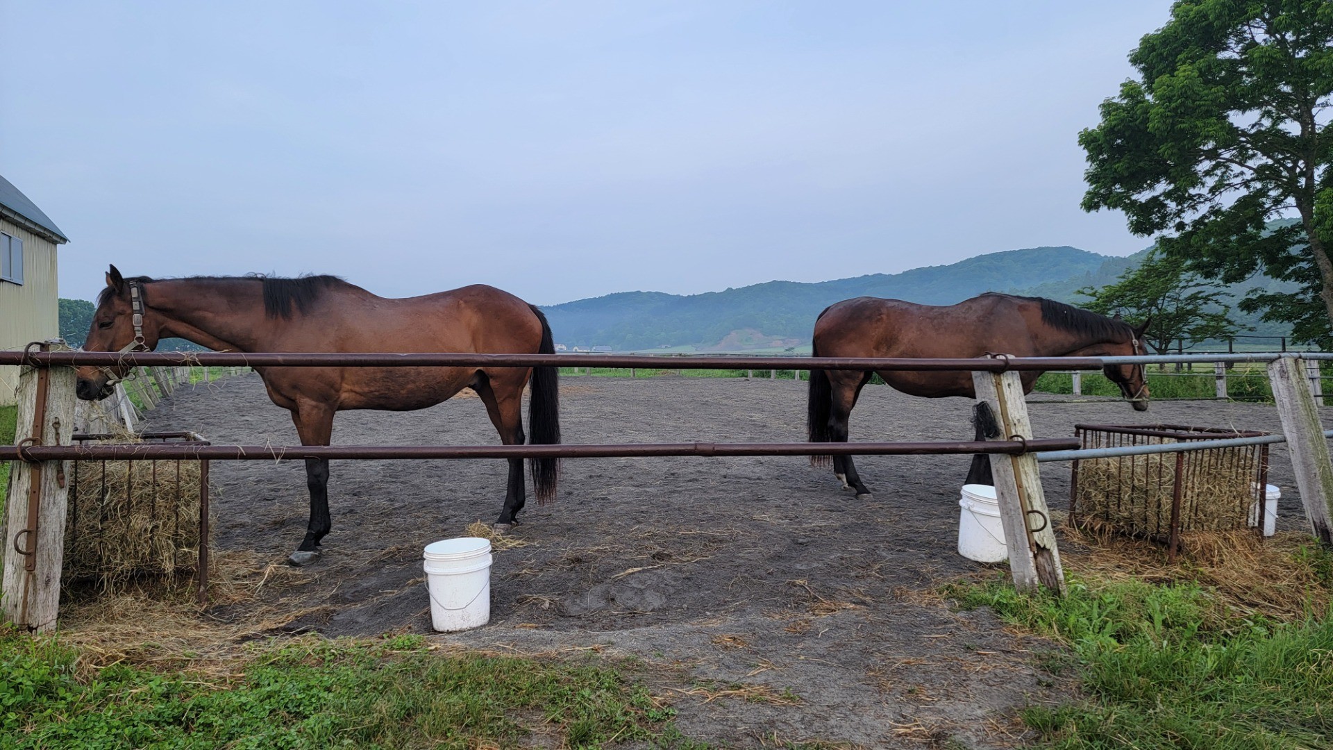 135007e7085979a7d5b41ce54c0e54d7-1760935562.jpg 135007e7085979a7d5b41ce54c0e54d7-1760935562.jpg