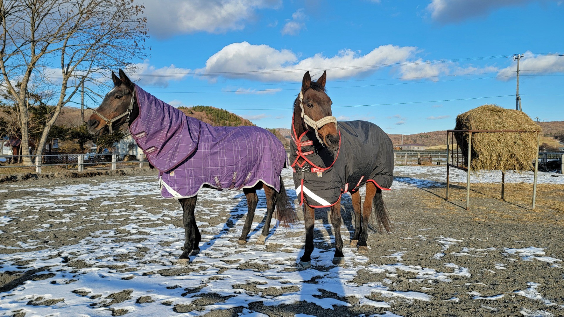 eb6bdb290b4b1d12242db9ceb3f875c0-1760934814.jpg eb6bdb290b4b1d12242db9ceb3f875c0-1760934814.jpg