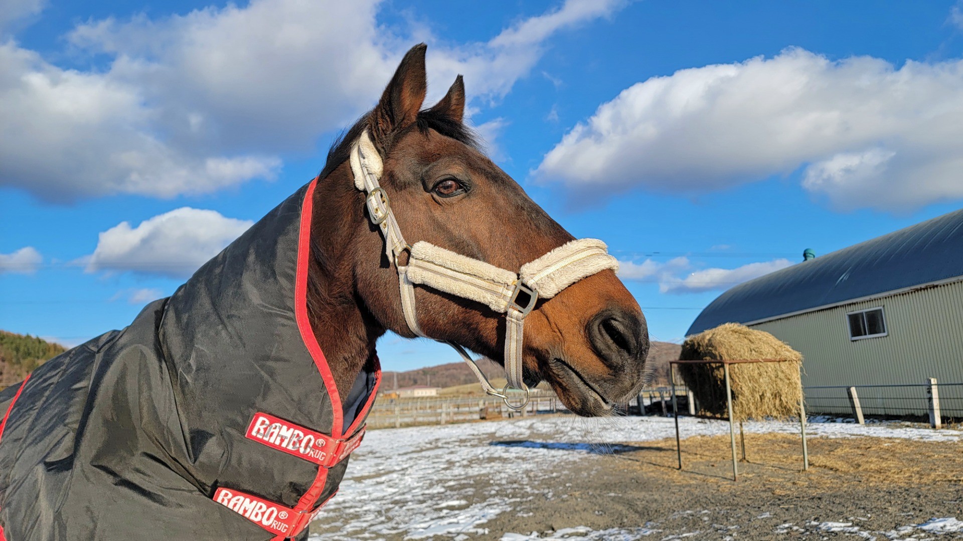 9d6c2ff781a3bc423cdd390476087b8d-1760934821.jpg 9d6c2ff781a3bc423cdd390476087b8d-1760934821.jpg