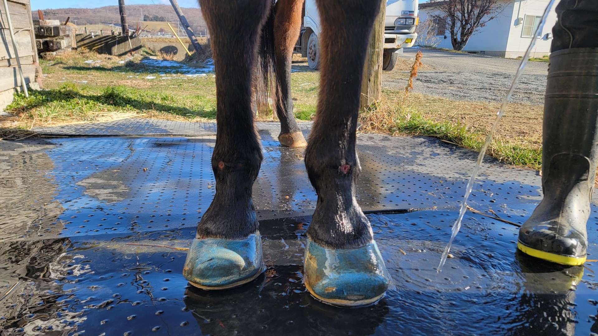 1058abae0dc372f4432cbea7fa123512-1760934837.jpg 1058abae0dc372f4432cbea7fa123512-1760934837.jpg