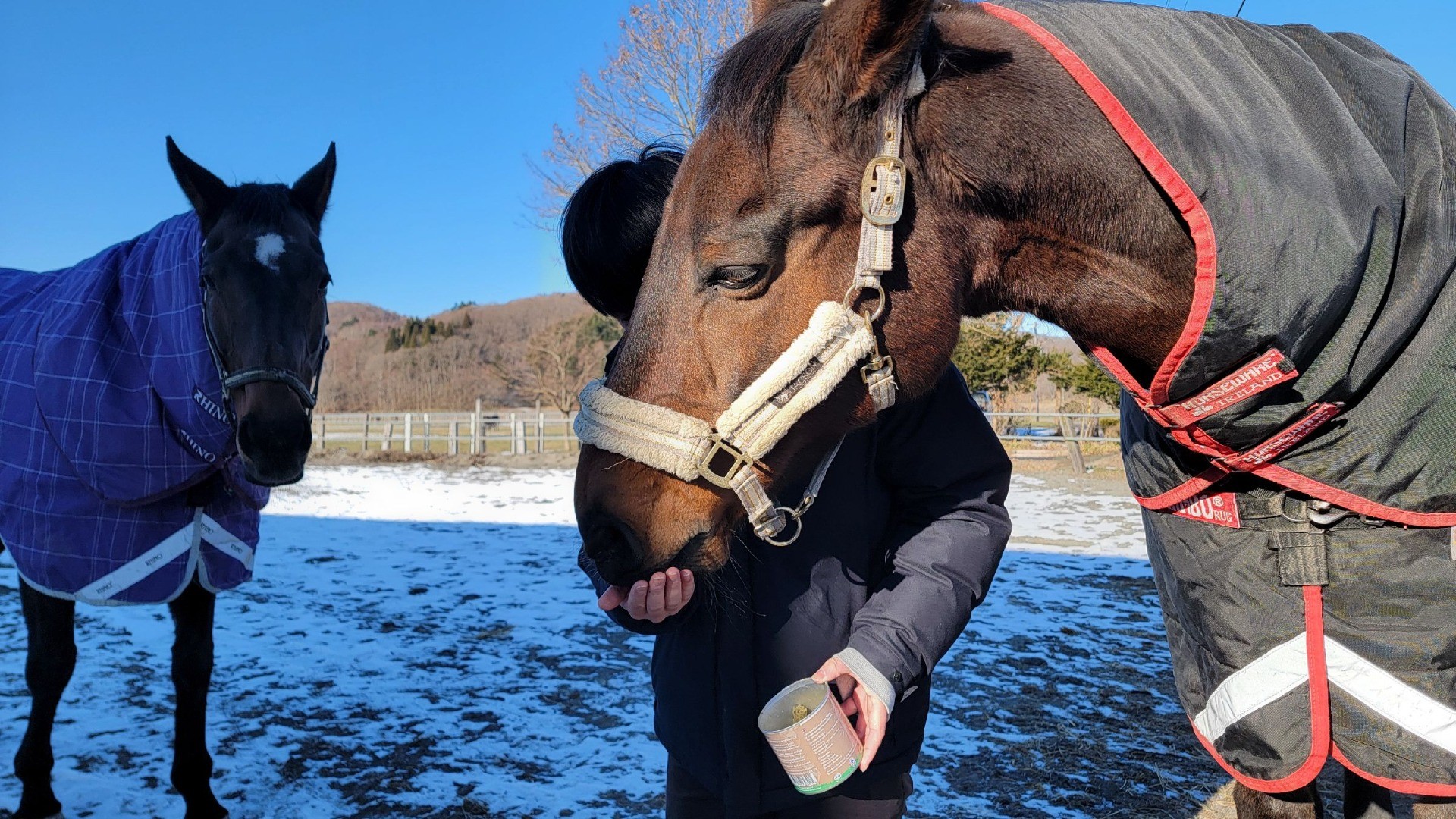 62bf1edb36141f114521ec4bb4175579-1760934854.jpg 62bf1edb36141f114521ec4bb4175579-1760934854.jpg