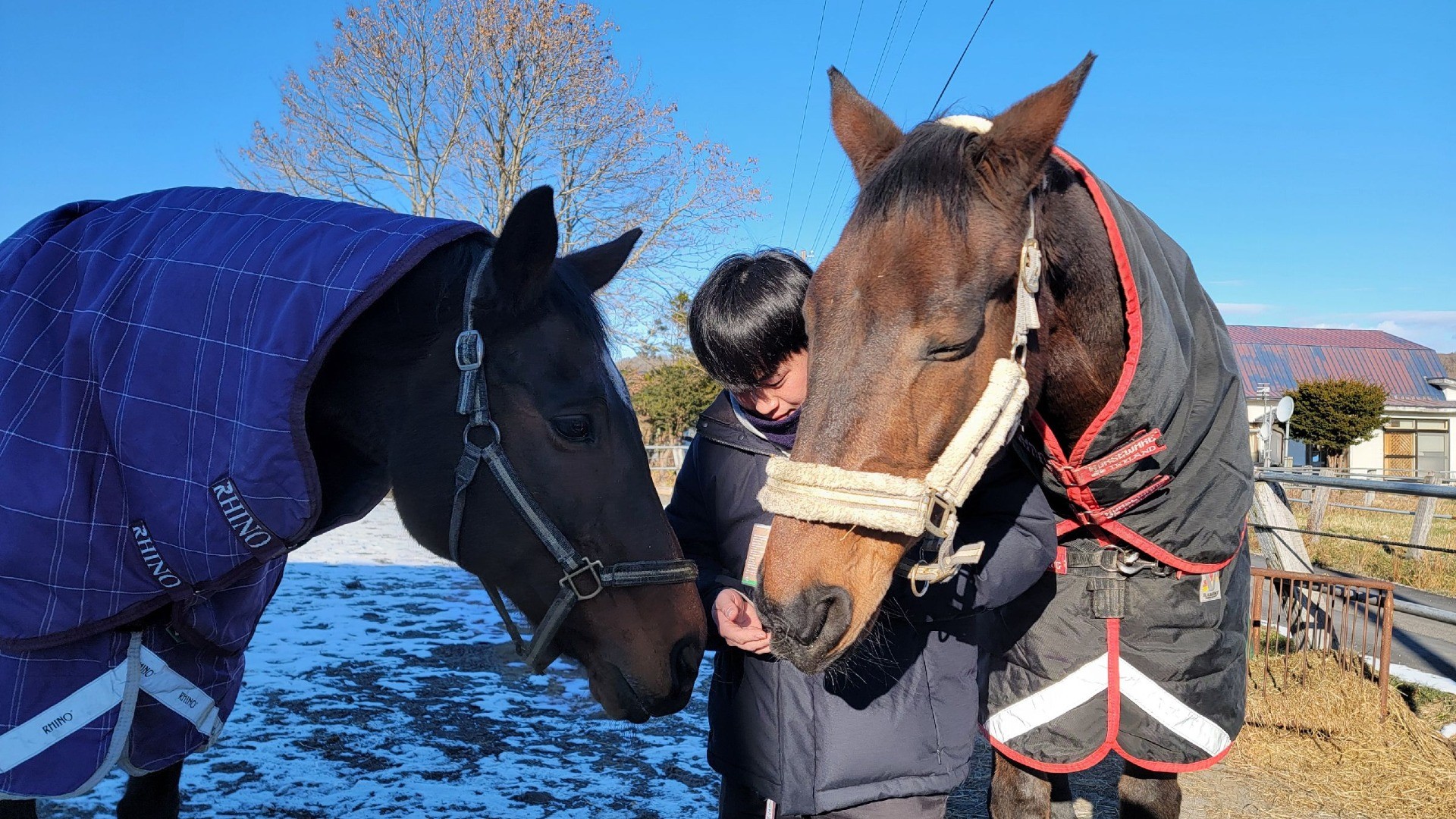 8df7b73a7820f4aef47864f2a6c5fccf-1760934862.jpg 8df7b73a7820f4aef47864f2a6c5fccf-1760934862.jpg