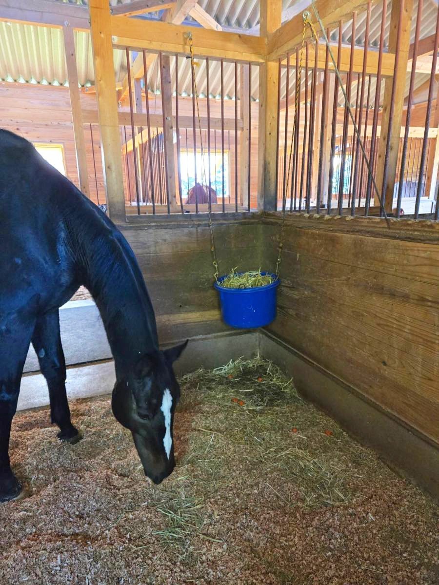 bc025392c599e61ec65c48e0c41f296c-1761879830.jpg bc025392c599e61ec65c48e0c41f296c-1761879830.jpg