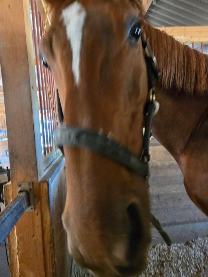 e76782d4b3a6d7da20a50bcc0c5dbbf0-1761880092.jpg e76782d4b3a6d7da20a50bcc0c5dbbf0-1761880092.jpg