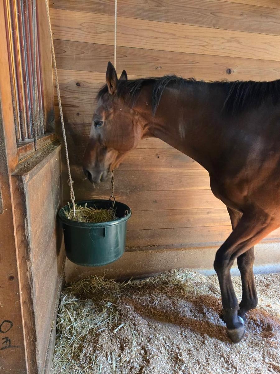 8509a72822742e1b9c5d158bea0e08ff-1761876487.jpg 8509a72822742e1b9c5d158bea0e08ff-1761876487.jpg