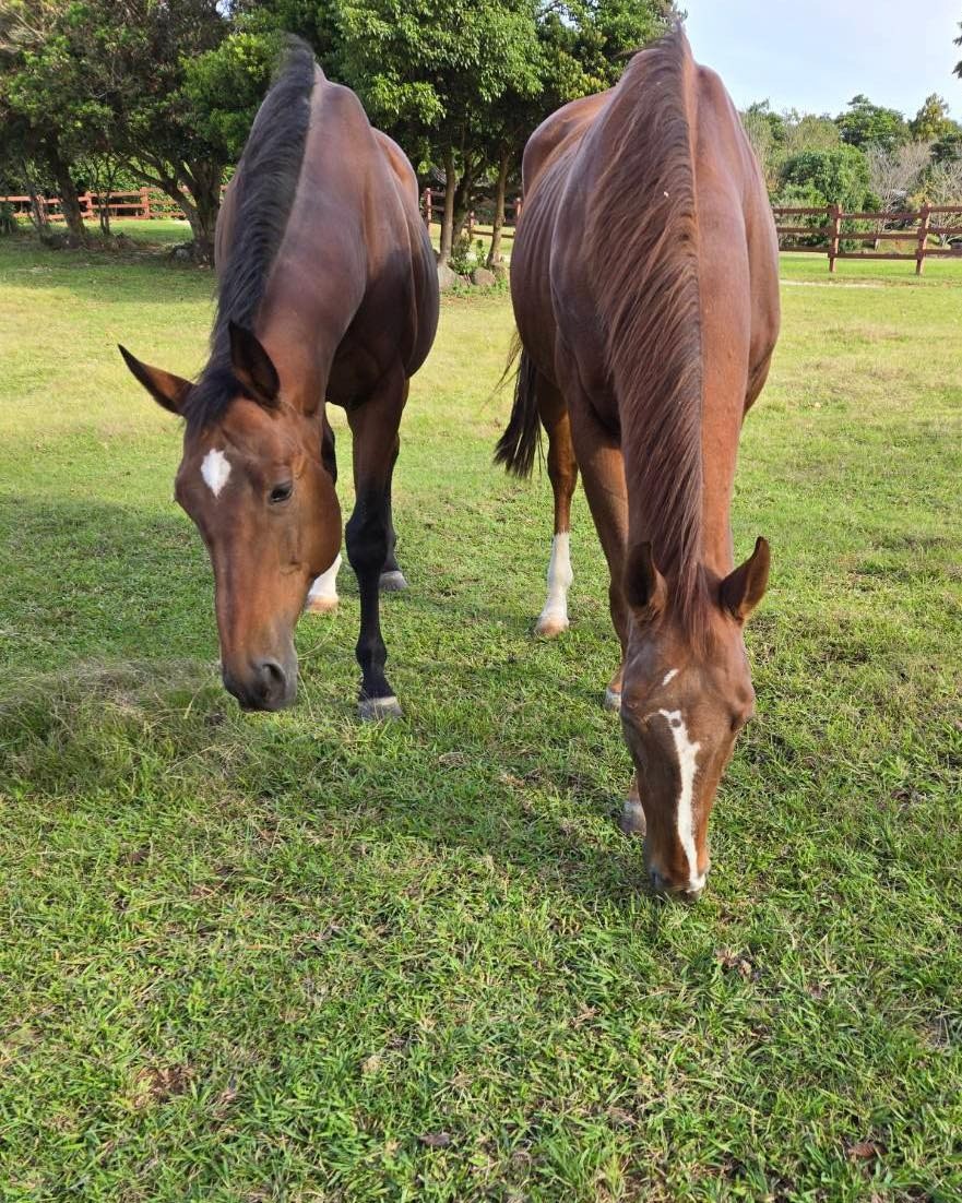 61e34d63b9cfcb8cf27df65050185f8a-1761877677.jpg 61e34d63b9cfcb8cf27df65050185f8a-1761877677.jpg