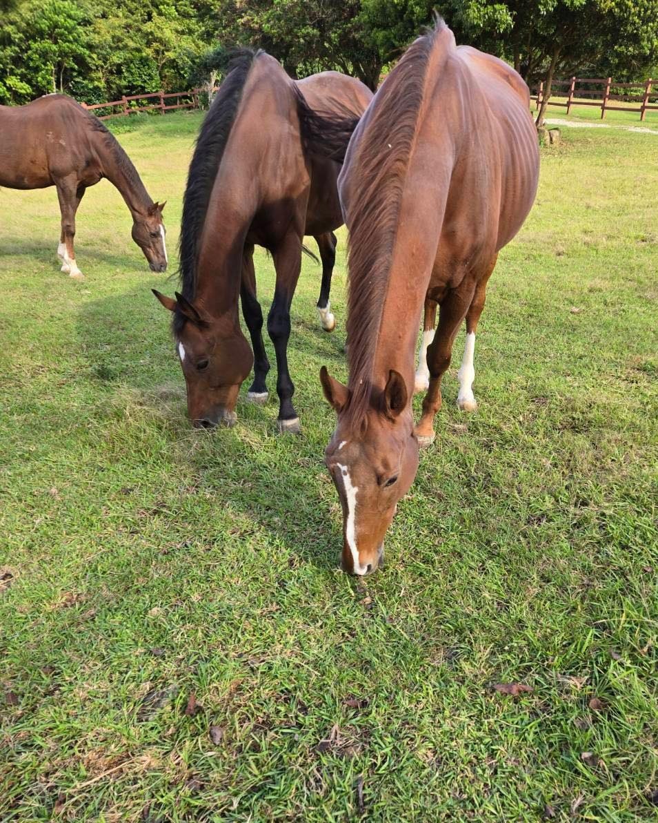 3d6c49d2be8bd26490873a814a45b2fd-1761877673.jpg 3d6c49d2be8bd26490873a814a45b2fd-1761877673.jpg