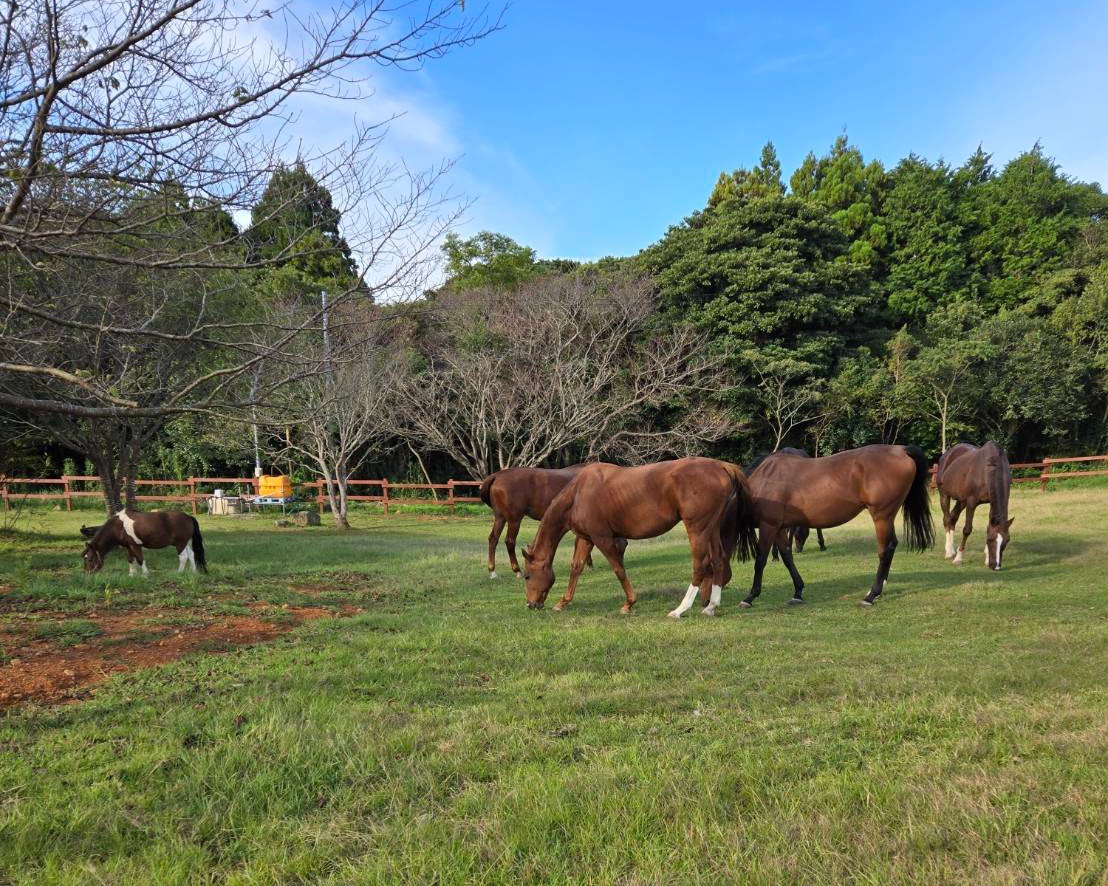 d087521bcab6d464dbd9911ff57a6dab-1761873748.jpg d087521bcab6d464dbd9911ff57a6dab-1761873748.jpg