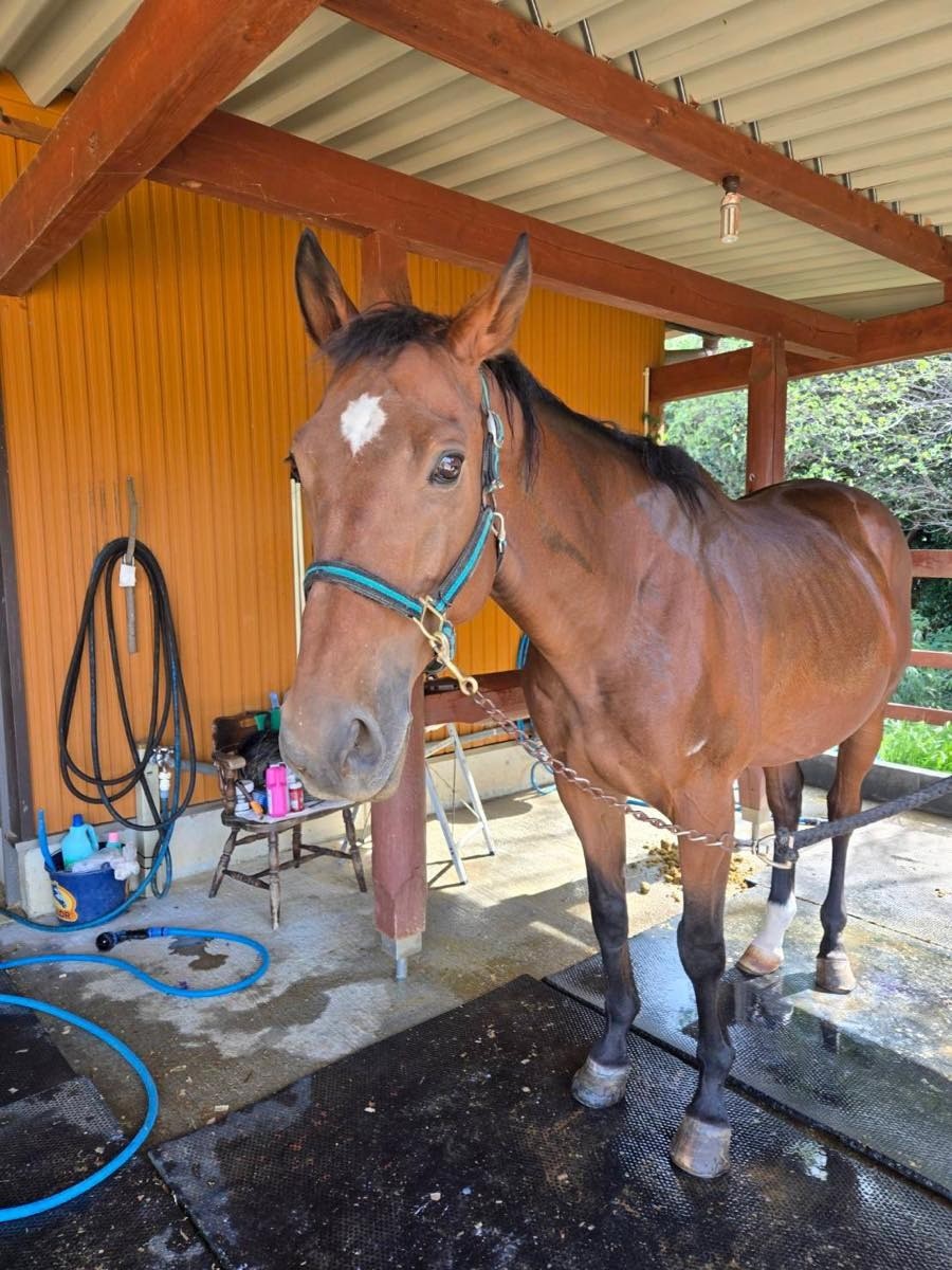 b15f385dca873ec48ea17c375786793f-1761876473.jpg b15f385dca873ec48ea17c375786793f-1761876473.jpg