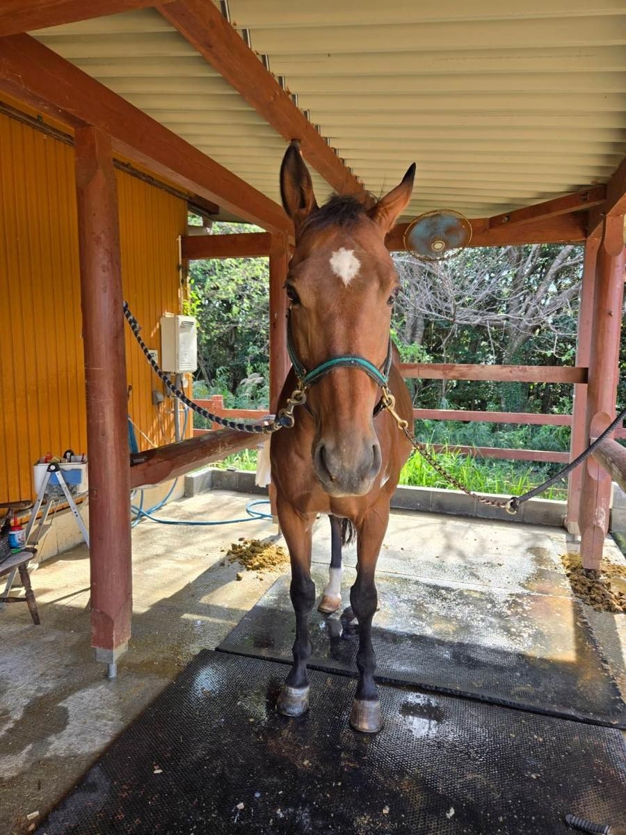 f55970245f5e6f7bab15f6803a68d5e7-1761876481.jpg f55970245f5e6f7bab15f6803a68d5e7-1761876481.jpg