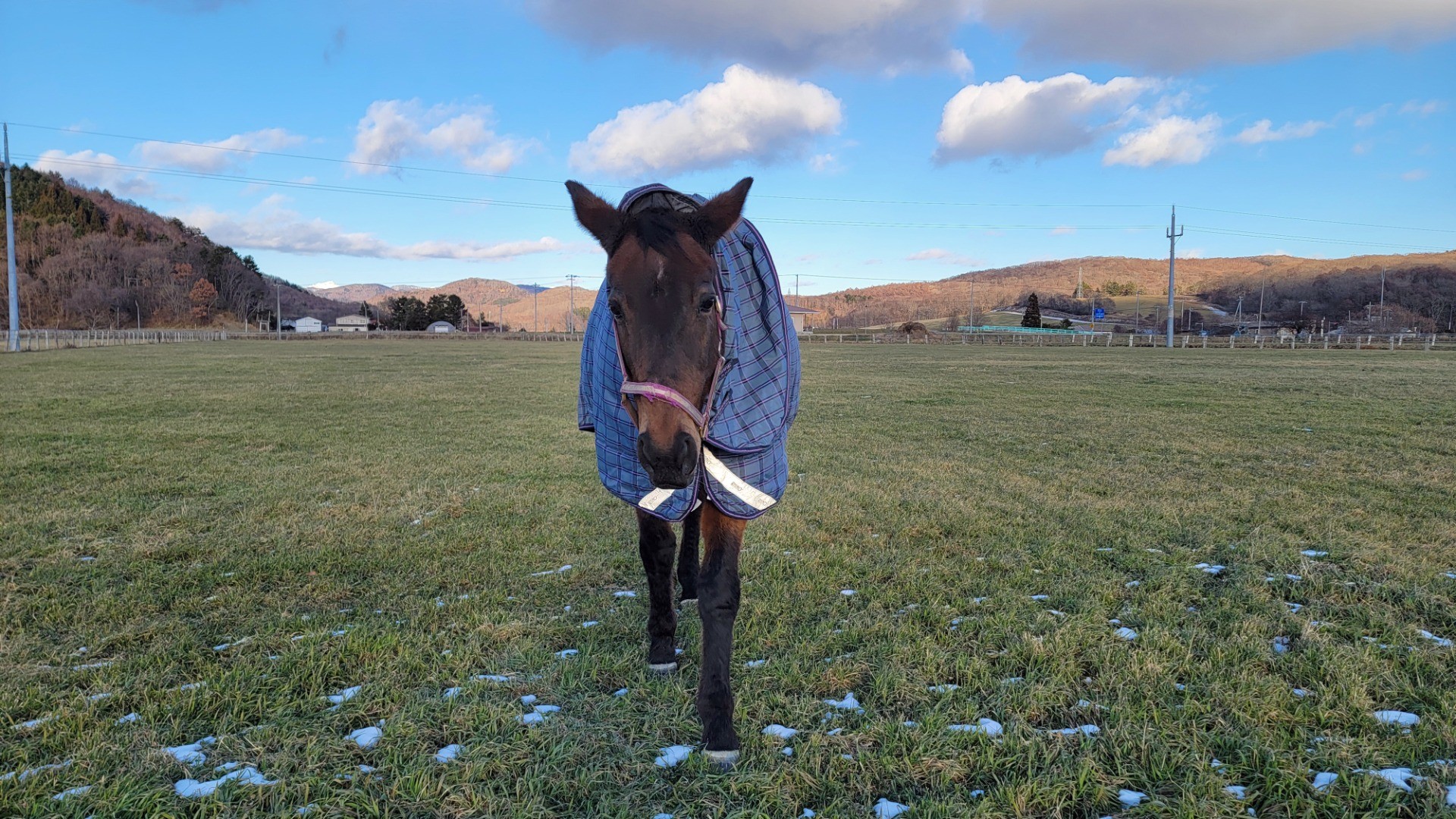 b8d3ce0c1b1baa43db9b621c9b32f8b0-1760934927.jpg b8d3ce0c1b1baa43db9b621c9b32f8b0-1760934927.jpg