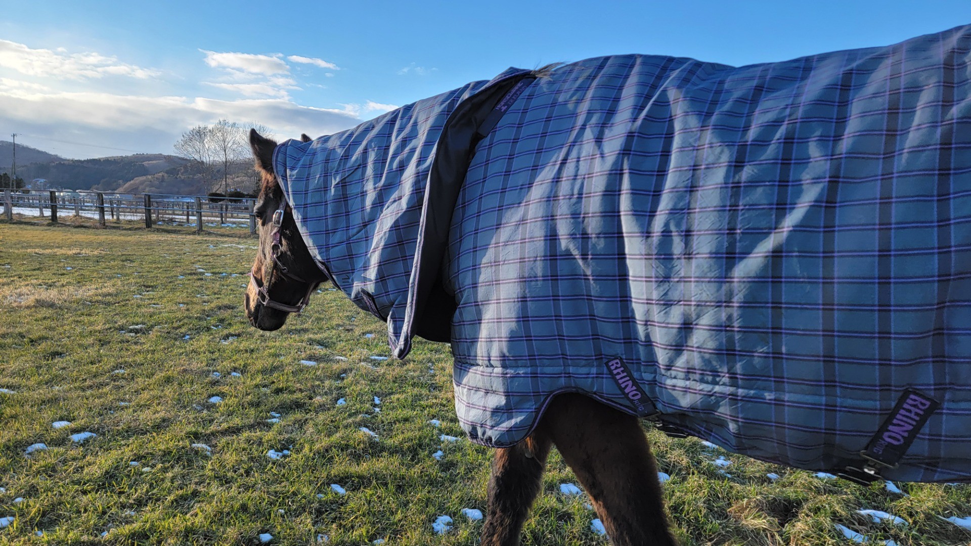 85b6f89b41cae26786ac72365fff771b-1760934933.jpg 85b6f89b41cae26786ac72365fff771b-1760934933.jpg