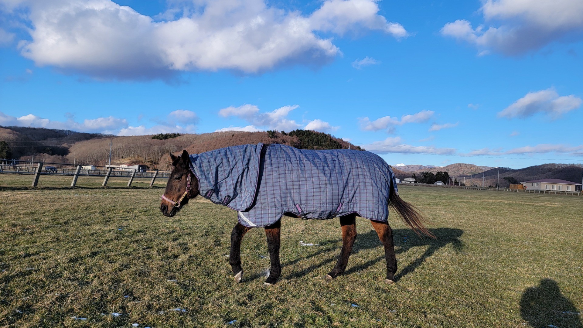 a269962fe1424e1ca3e68c328b9fed61-1760934948.jpg a269962fe1424e1ca3e68c328b9fed61-1760934948.jpg