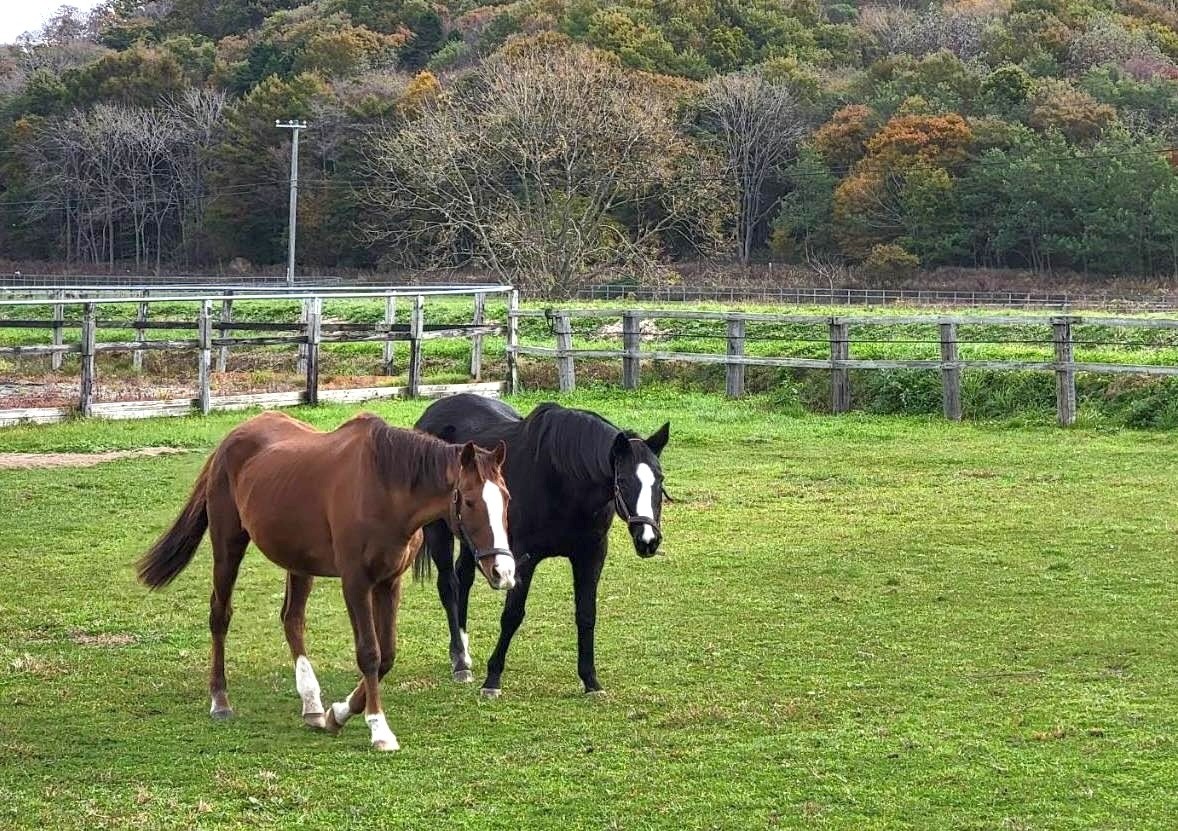 7ca4afc2bf16746805d79239ea739d4c-1761782833.jpg 7ca4afc2bf16746805d79239ea739d4c-1761782833.jpg