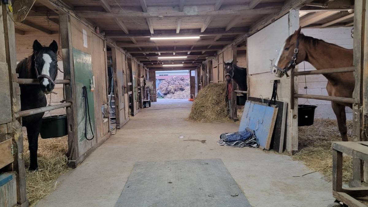 bd94d7422fc51921093e3b1ec92fd3e5-1761782851.jpg bd94d7422fc51921093e3b1ec92fd3e5-1761782851.jpg