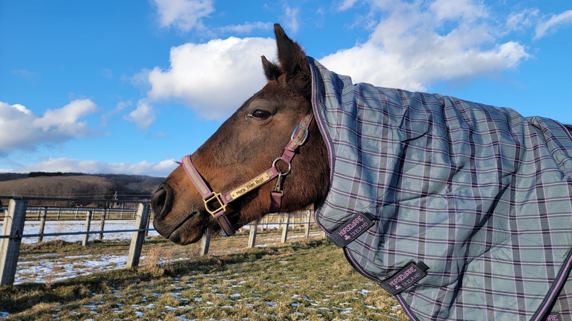 ca538c343179bf0fbdfab6cd10469afd-1760934963.jpg ca538c343179bf0fbdfab6cd10469afd-1760934963.jpg