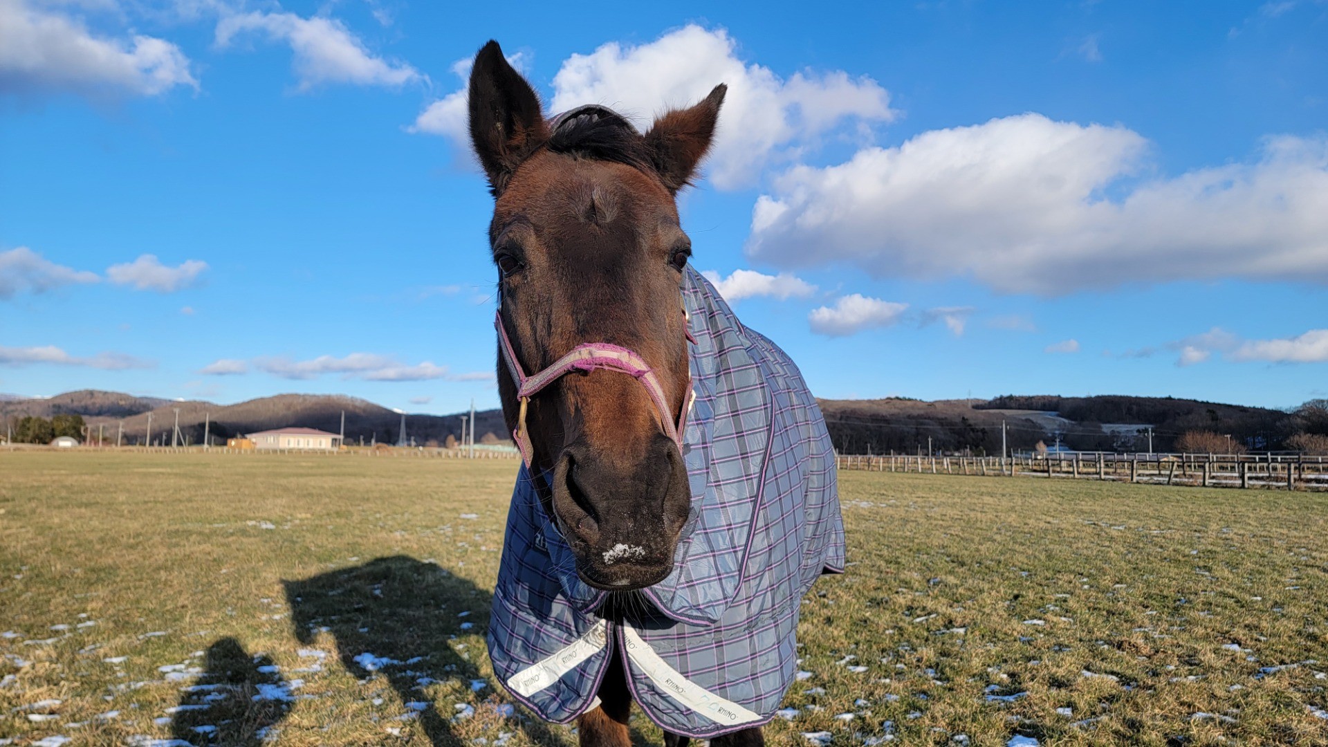 030d7e8e966169ab4c7f67c291c333f4-1760934969.jpg 030d7e8e966169ab4c7f67c291c333f4-1760934969.jpg