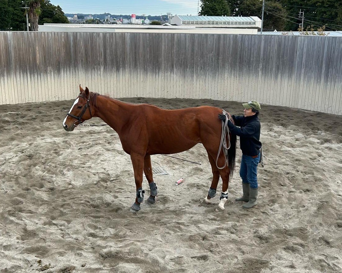 adc417b92935c1f1d592971f326dda87-1761900943.jpg adc417b92935c1f1d592971f326dda87-1761900943.jpg