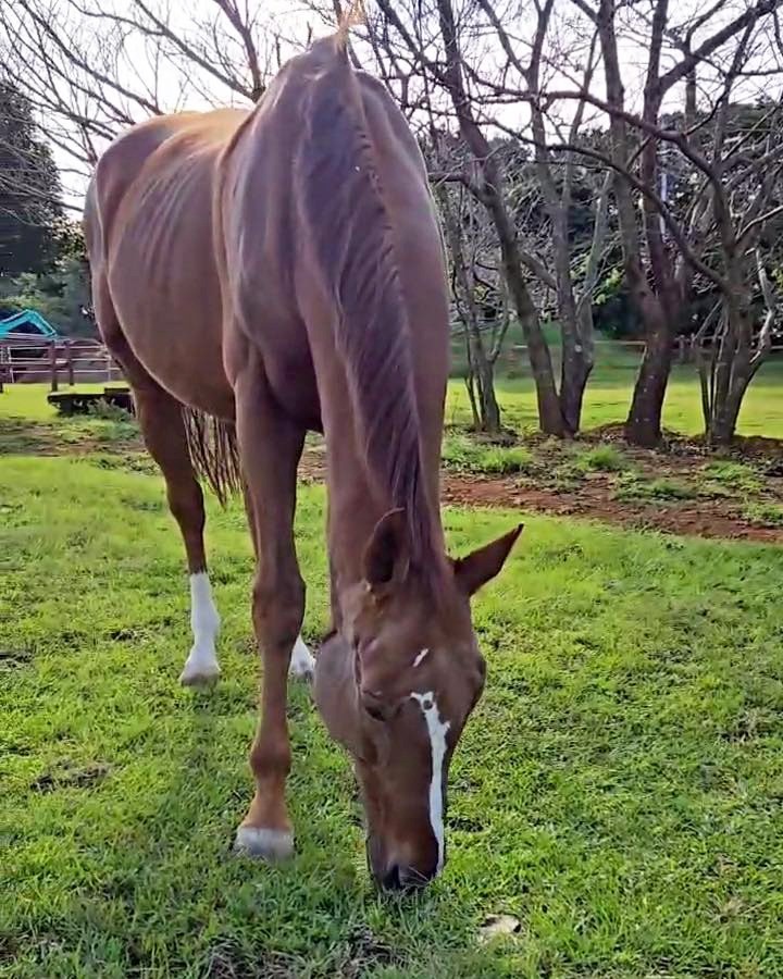 985d79abc0fc4893bbb39400a6be4364-1761876568.jpg 985d79abc0fc4893bbb39400a6be4364-1761876568.jpg