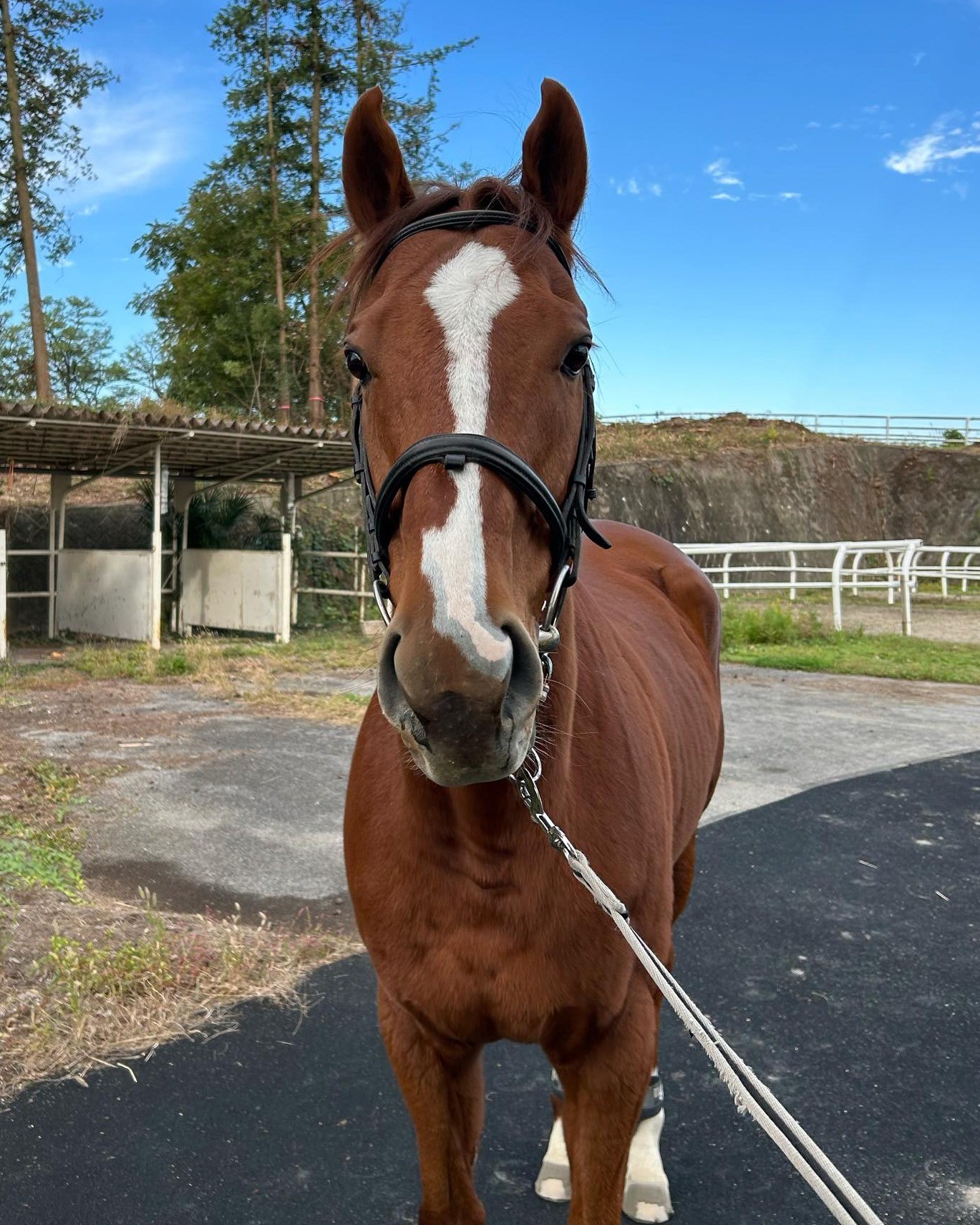 92fea847cf3538ef81b1b939f9fc9083-1761901012.jpg 92fea847cf3538ef81b1b939f9fc9083-1761901012.jpg