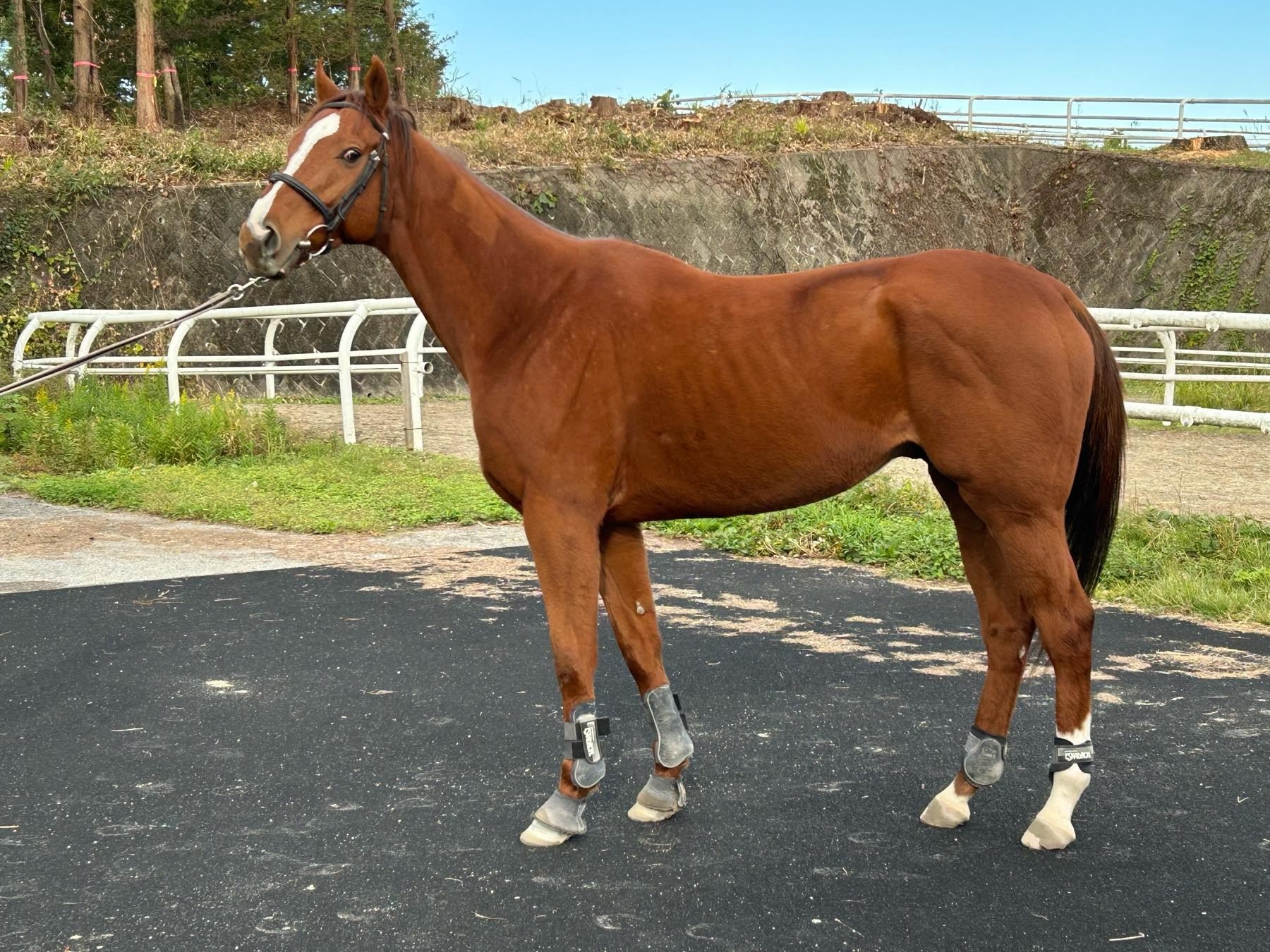 3819eb2bac5ad0d8947dfae8e57e95b7-1761900712.jpg 3819eb2bac5ad0d8947dfae8e57e95b7-1761900712.jpg