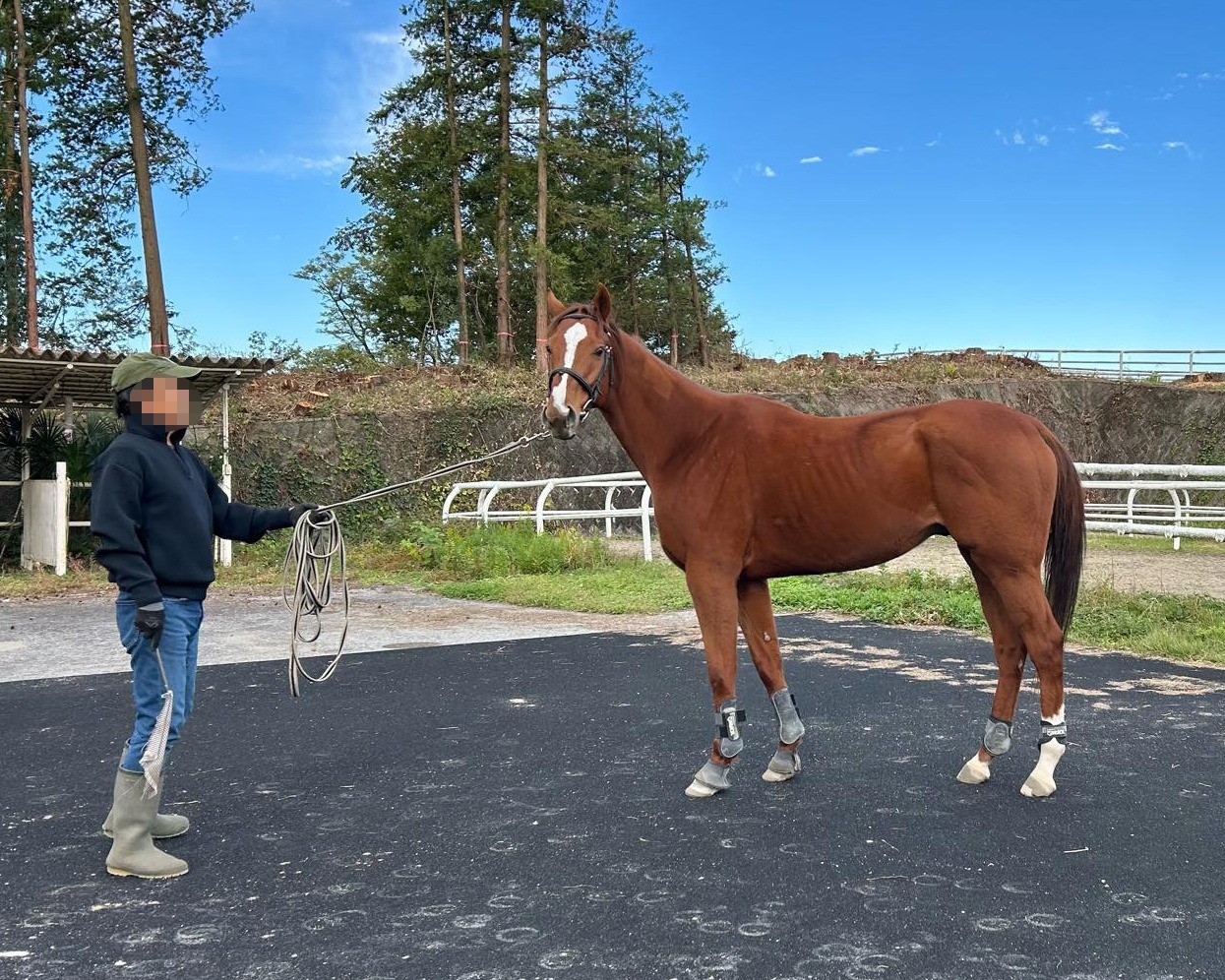 4d4ab037b53b47e5845ec0781384f9ec-1761900917.jpg 4d4ab037b53b47e5845ec0781384f9ec-1761900917.jpg