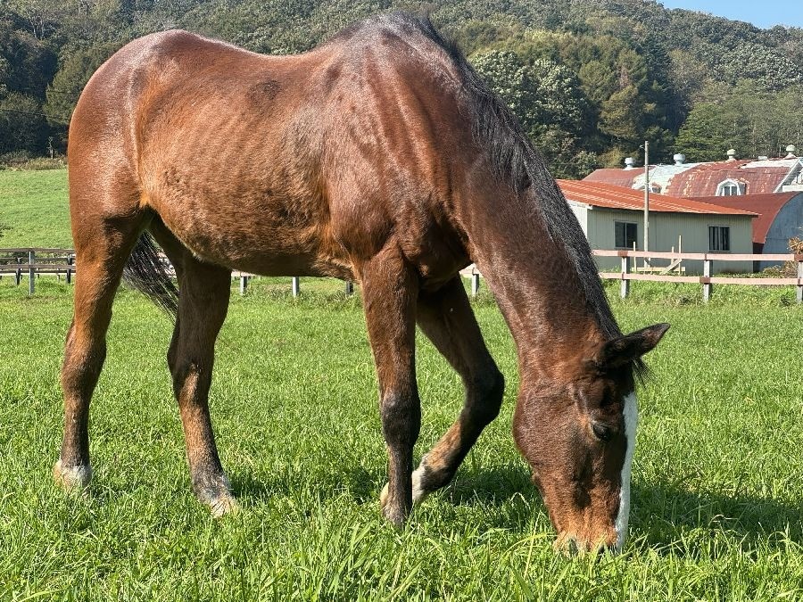 ae3e00440d0c509619023cbd231e870a-1761917194.jpg ae3e00440d0c509619023cbd231e870a-1761917194.jpg