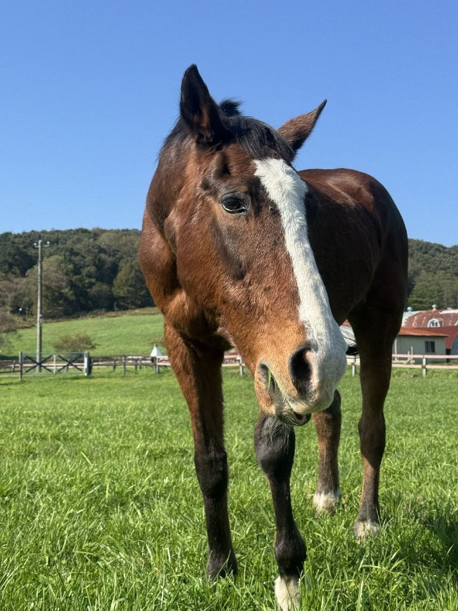 e29a7375015b2db94ce4ad3bc450d549-1761916744.jpg e29a7375015b2db94ce4ad3bc450d549-1761916744.jpg