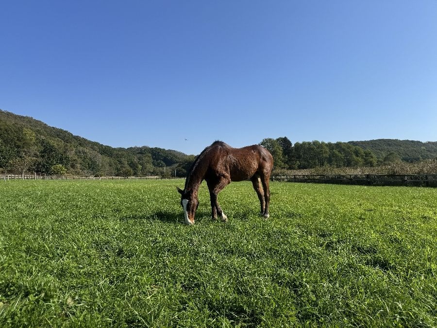 2ff7c76d3c6a8030dd5c28581f3511ad-1761917200.jpg 2ff7c76d3c6a8030dd5c28581f3511ad-1761917200.jpg