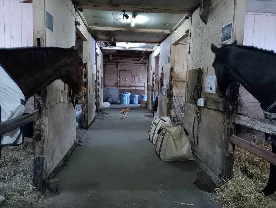 a94c38011f17909367bb8ff5abd37536-1761917963.jpg a94c38011f17909367bb8ff5abd37536-1761917963.jpg