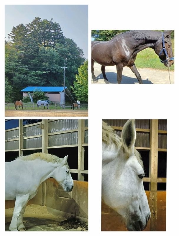 2c44f15b85728b76121f8c88ed1f53a8-1761917035.jpg 2c44f15b85728b76121f8c88ed1f53a8-1761917035.jpg