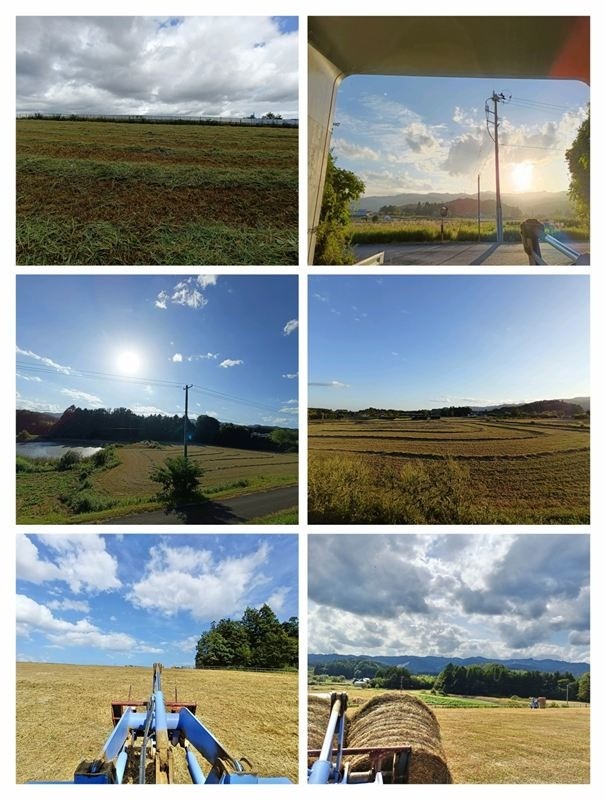 d8e25637de3c080f2399da52e47d062d-1761917171.jpg d8e25637de3c080f2399da52e47d062d-1761917171.jpg