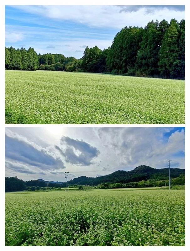 e377d5a05aff34c8fa7bd9040b7e6191-1761917227.jpg e377d5a05aff34c8fa7bd9040b7e6191-1761917227.jpg