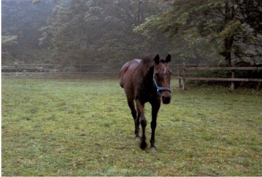 af2465a23b9d5be832f2a9027c1135eb-1761029372.jpg af2465a23b9d5be832f2a9027c1135eb-1761029372.jpg