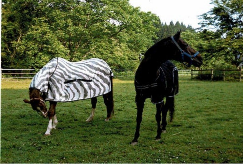 f2c44c4dec687c1c7a140f85f63107ff-1761029315.jpg f2c44c4dec687c1c7a140f85f63107ff-1761029315.jpg