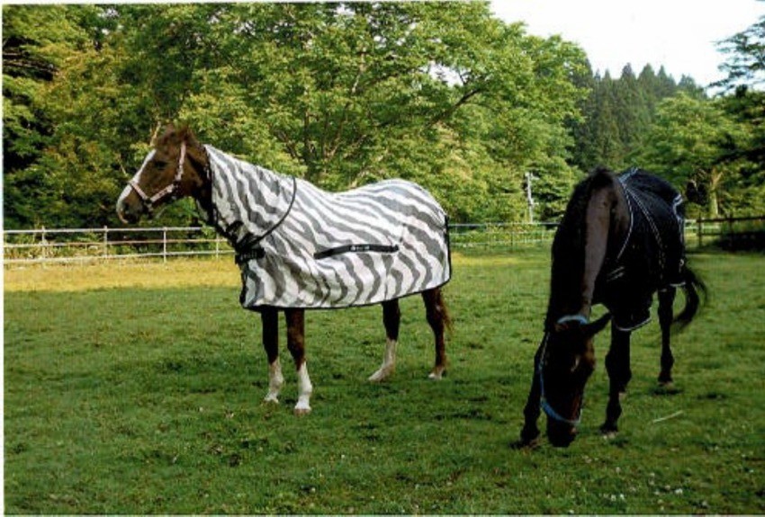 2951279e1b2caeab9e24bb77866eedb9-1761029334.jpg 2951279e1b2caeab9e24bb77866eedb9-1761029334.jpg