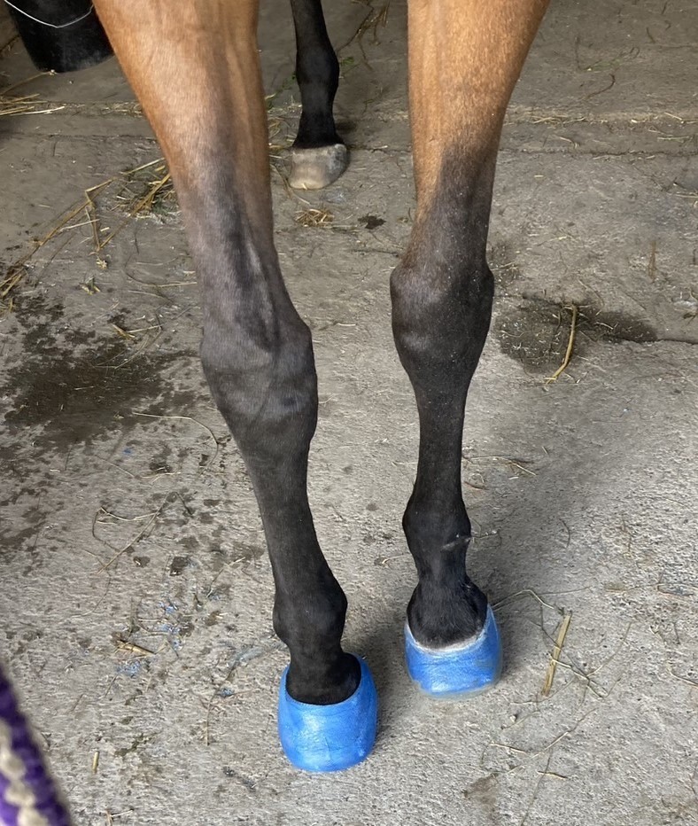 ae0b80fa3e2caf3830473e5f23180674-1760935510.jpg ae0b80fa3e2caf3830473e5f23180674-1760935510.jpg